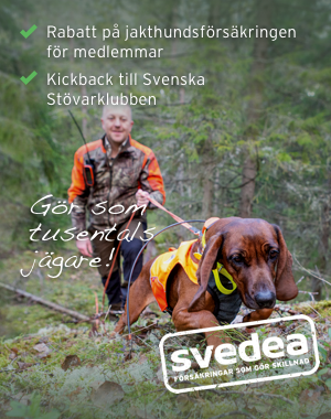 Svedea